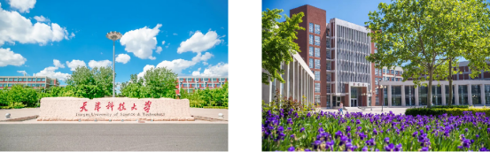 1745906421312296.png image.png